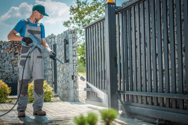 Best Rust Removal  in Lutz, FL