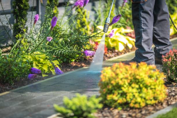 Best Animal Enclosure Cleaning  in Lutz, FL