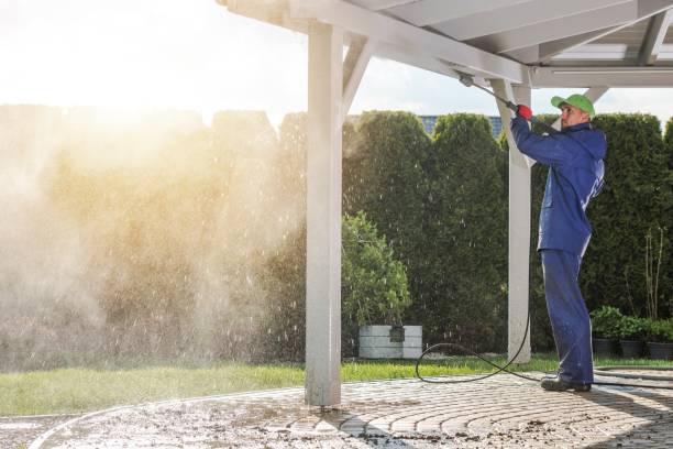 Pre-Holiday Cleaning in Lutz, FL