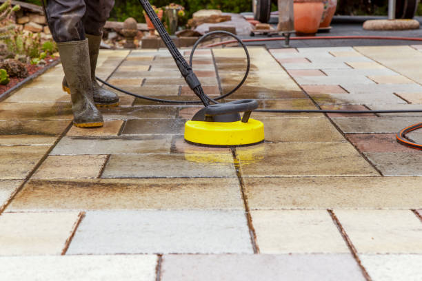Best Pre-Holiday Cleaning  in Lutz, FL