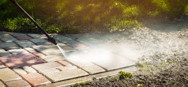 Best Fence Cleaning  in Lutz, FL