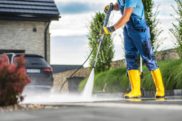 Best Patio and Deck Pressure Washing  in Lutz, FL
